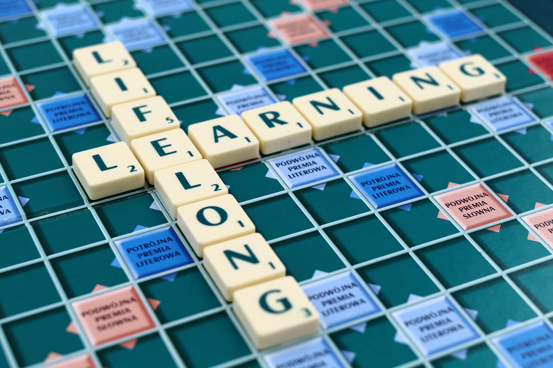 Lifelong learning on scrabble