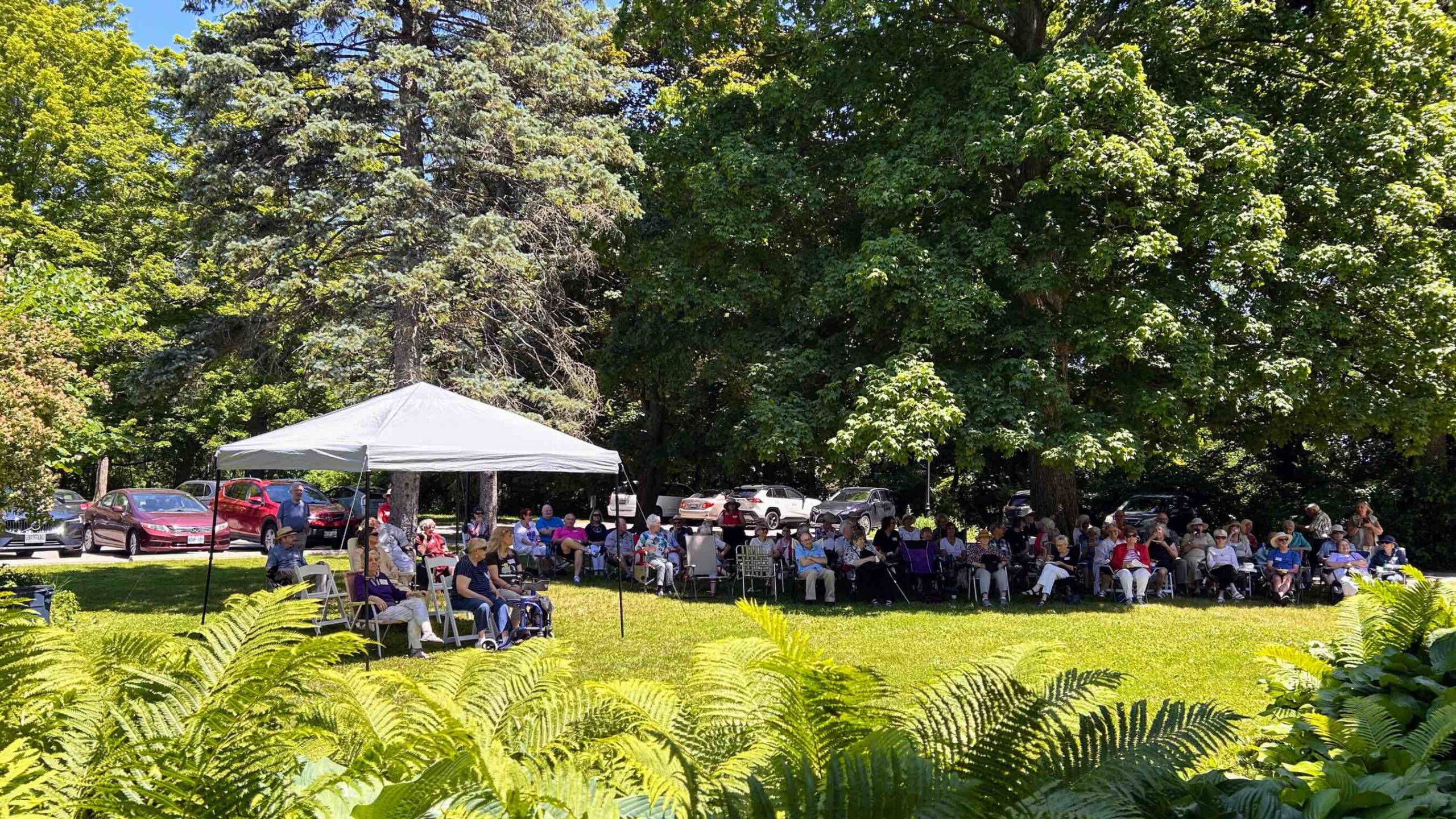 GL 30th anniversary crowd front lawn summer